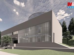 Prodej komerčního pozemku, Havlovice, 8238 m2