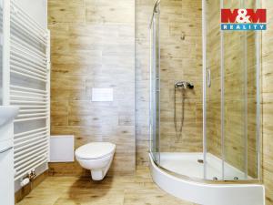 Pronájem bytu 2+kk, Janovice nad Úhlavou, Rozvojová zóna, 39 m2
