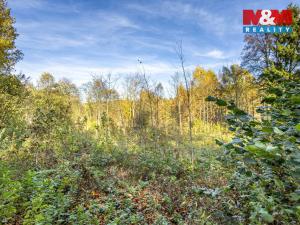 Prodej pozemku pro bydlení, Jiříkov, Mánesova, 3659 m2