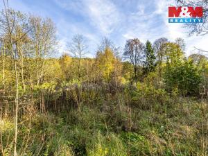 Prodej pozemku pro bydlení, Jiříkov, Mánesova, 3659 m2