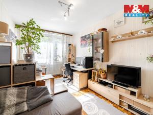 Prodej bytu 3+kk, Mělník, Sportovní, 66 m2