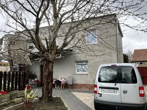 Prodej vícegeneračního domu, Nehvizdy, 640 m2