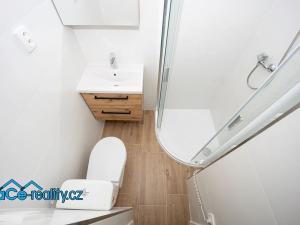 Pronájem chalupy, Kostelec nad Orlicí, U Kapličky, 40 m2
