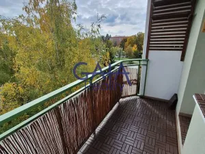 Pronájem bytu 2+1, Prostějov, sídl. E. Beneše, 58 m2