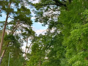 Prodej pozemku pro bydlení, Luštěnice, 9368 m2