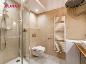 Pronájem bytu 1+1, Praha - Smíchov, Staropramenná, 40 m2