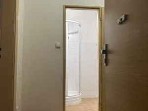 Prodej bytu 1+1, Plzeň, Tělocvičná, 47 m2