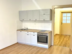Prodej bytu 1+1, Plzeň, Tělocvičná, 47 m2