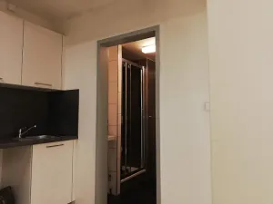 Pronájem bytu 2+1, Praha - Vršovice, Rybalkova, 45 m2