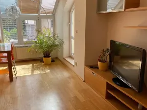Pronájem bytu 3+kk, Olomouc, Wellnerova, 90 m2