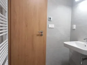 Pronájem bytu 2+kk, Mokrá-Horákov, 55 m2