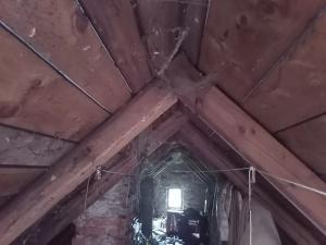 Prodej rodinného domu, Zlatá Olešnice, 200 m2