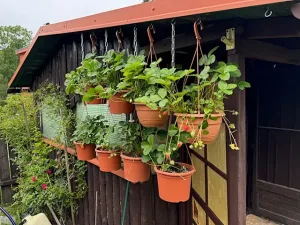 Pronájem bytu 2+1, Smržovka, Hlavní, 83 m2