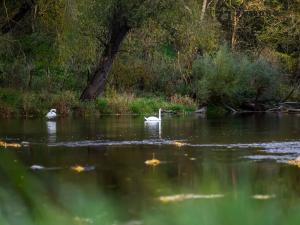 Prodej rodinného domu, Ivančice, 79 m2
