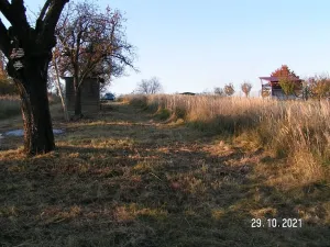 Prodej pozemku pro bydlení, Nížkovice, 996 m2