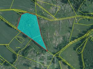 Prodej lesa, Studená, 12013 m2