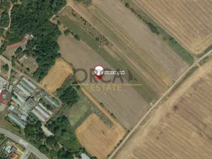 Prodej pole, Vranovice, 1596 m2