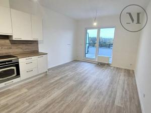 Pronájem bytu 1+kk, České Budějovice, Branišovská, 32 m2