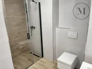 Pronájem bytu 1+kk, České Budějovice, Branišovská, 32 m2