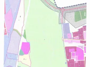 Dražba lesa, Kladno, 2465 m2