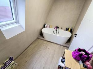 Pronájem bytu 3+kk, Ústí nad Labem, Tolstého, 80 m2