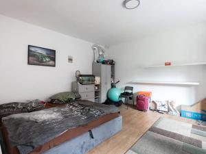 Prodej vícegeneračního domu, Nová Ves, 200 m2