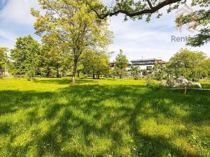 Prodej obchodního prostoru, Praha - Braník, Zelený pruh, 143 m2