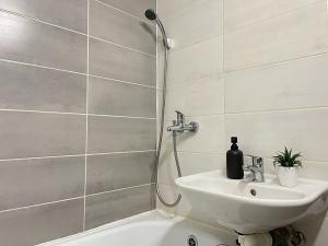 Pronájem bytu 1+1, Litvínov, Tylova, 38 m2