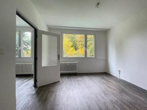 Pronájem bytu 1+1, Litvínov, Tylova, 38 m2