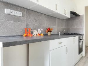 Pronájem bytu 2+1, Litvínov, Rooseveltova, 61 m2