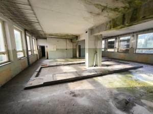 Prodej obchodního prostoru, Zlaté Hory, Na Sídlišti, 313 m2