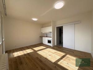 Prodej bytu 1+kk, Plzeň, alej Svobody, 36 m2