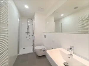 Prodej bytu 1+kk, Praha - Vinohrady, Perucká, 28 m2