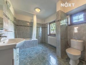 Pronájem rodinného domu, Statenice, Za cihelnou, 350 m2