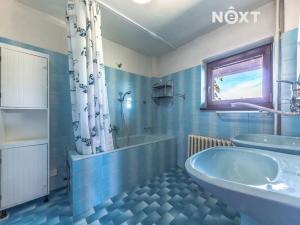 Pronájem rodinného domu, Statenice, Za cihelnou, 350 m2