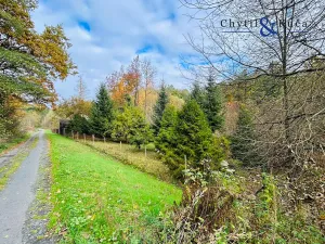 Prodej chalupy, Horní Loděnice, 95 m2