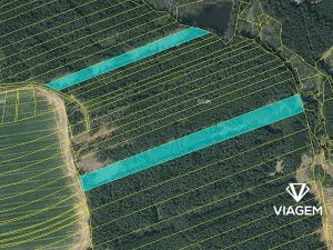 Prodej lesa, Chrbonín, 32870 m2