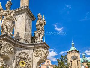 Prodej vícegeneračního domu, Havlíčkův Brod, Ječná, 239 m2
