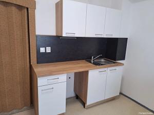 Pronájem bytu 1+1, Pardubice, Jana Palacha, 38 m2