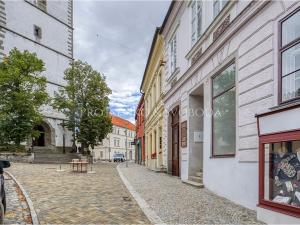 Pronájem obchodního prostoru, Třebíč, Hasskova, 127 m2