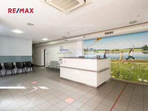 Pronájem ordinace, Praha - Nusle, Hradeckých, 39 m2