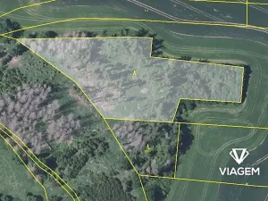 Prodej podílu lesa, Trhový Štěpánov, 6300 m2