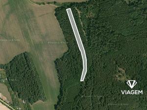 Prodej podílu lesa, Koloveč, 859 m2