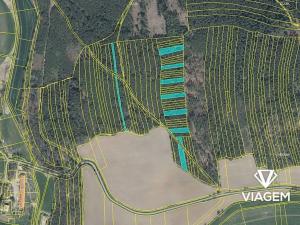 Prodej podílu lesa, Koloveč, 2599 m2