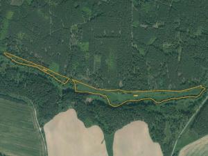 Dražba louky, Kladruby, 42411 m2