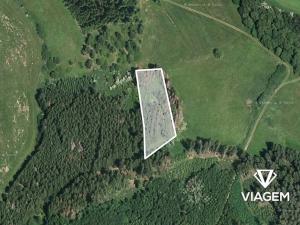 Prodej podílu lesa, Radošovice, 1094 m2