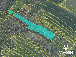 Prodej lesa, Kouty, 3518 m2