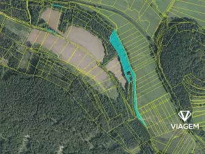 Prodej podílu lesa, Vranová Lhota, 4729 m2