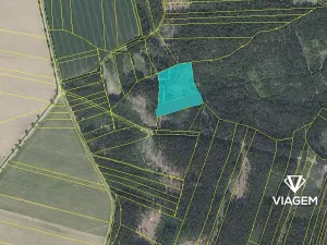 Prodej podílu lesa, Kamenice nad Lipou, 2095 m2