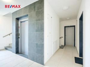 Pronájem bytu 2+kk, Plzeň, Vysoká, 51 m2